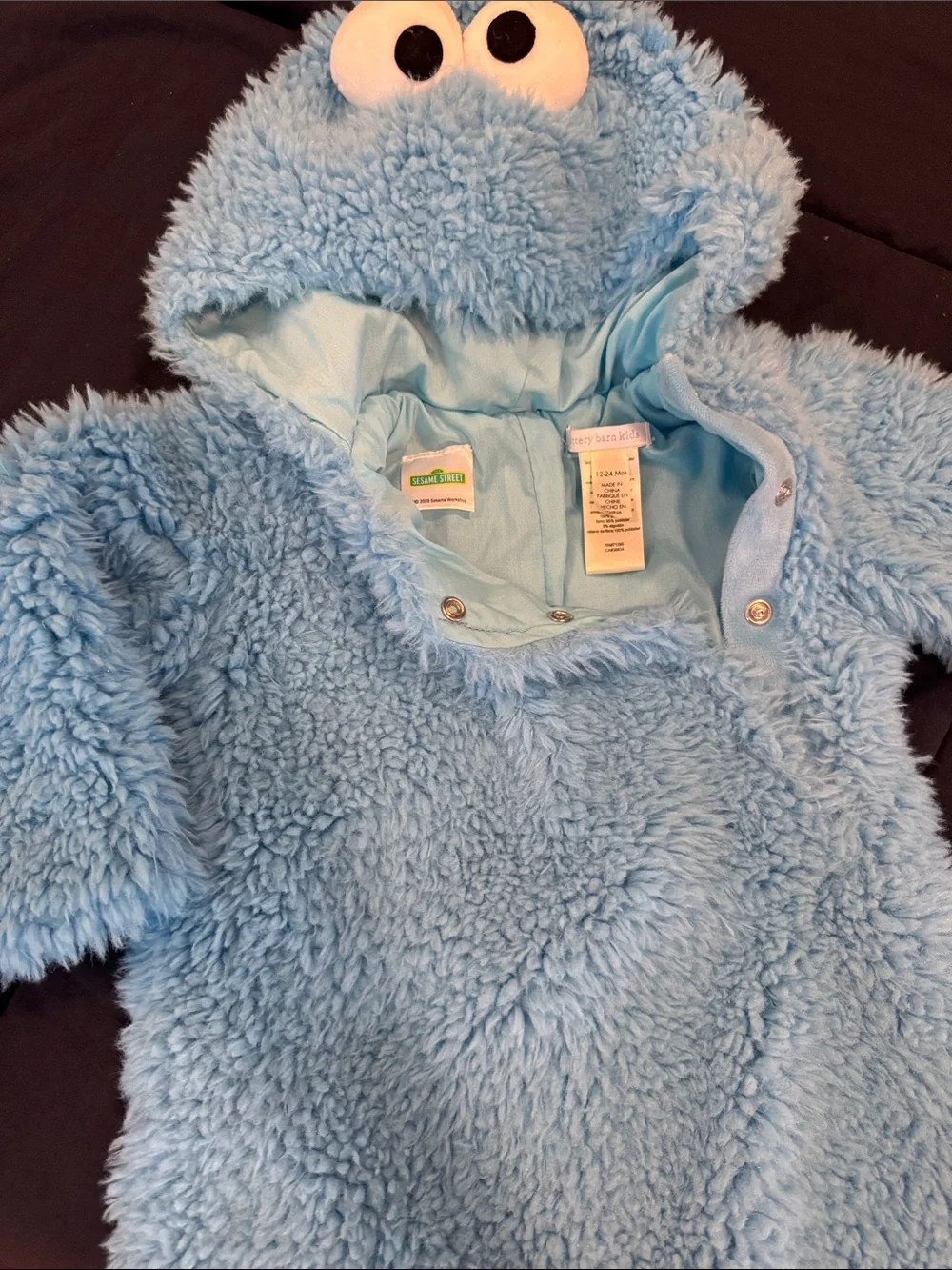 Pottery Barn Kids Light Blue Plush Character Hooded Costume